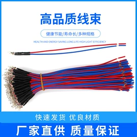 直插式LED;电子线;氖灯