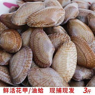 ���������ڲ�ؐ��������͸򻨼��r��V�|���ǻ���(���r������)