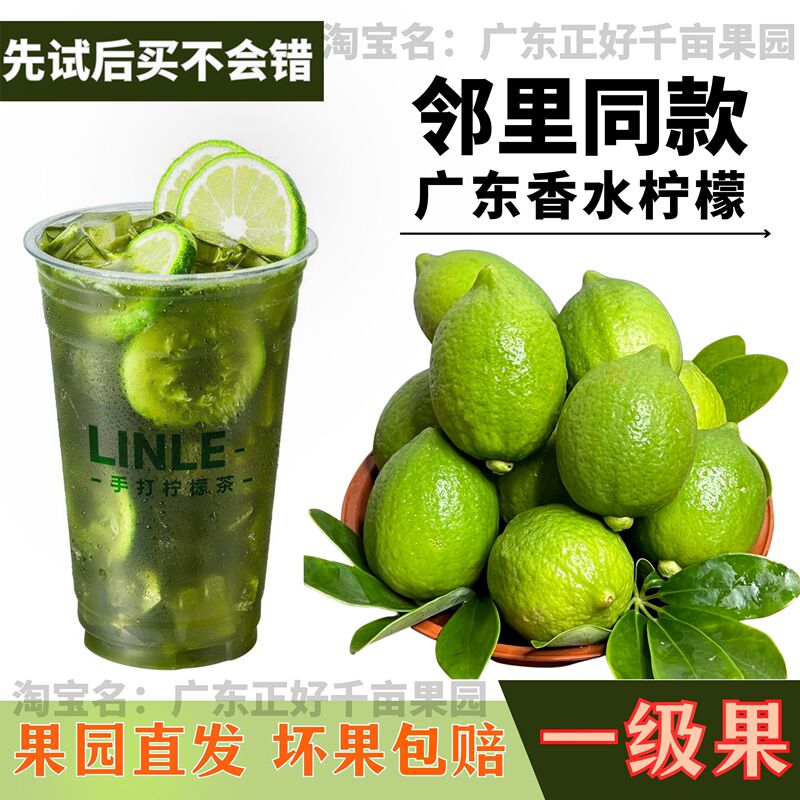 Authentic Guangdong Perfume Lemon, First-Grade Seedless Fresh Lemon for Hand-Made Lemon Tea, Used in Milk Tea Shops, Lemon Perfume Lemon