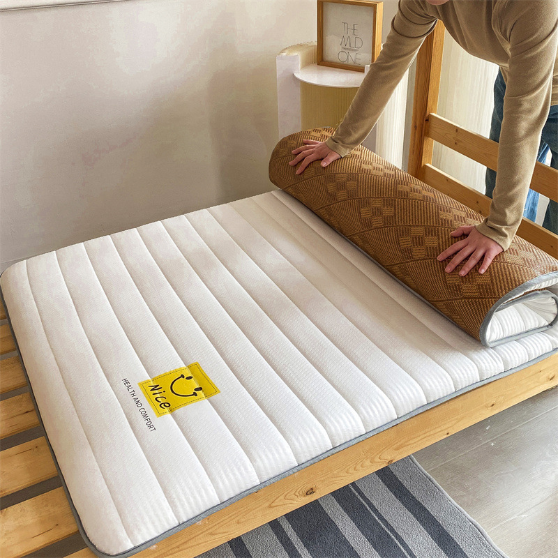 2024 new multi-functional ice rattan skin-friendly cotton double-sided mattress four seasons available soybean fiber antibacterial pad single double