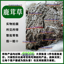 ¹�ײ���ș��500g����˪ǧ�갬˪���^�̰׵�����ë¹�ײ�ǧ����