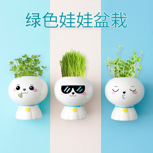 Creative micro-landscape small gifts, kindergarten birthday gifts, observing plant growth, small planting, primary school student prizes