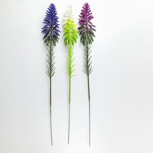 ����Gֲ޹�²��^  �������뻨�hɭϵDIY���� �z�����컨����ˮ��