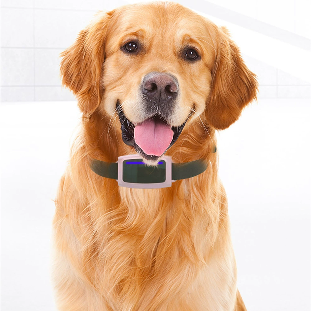 4G локатор для домашних животных GPS позиционирование ошейник для собак анти-потерянный 4G Противоугонная сигнализация прямые продажи с завода
