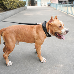 2024跨境新款尼龍戰術狗項圈中大型狗脖圈頸圈戶外訓練寵物牽引繩