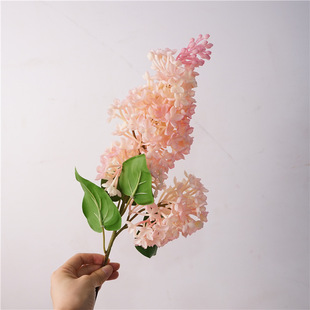 �ָ��϶������������滨�͏d�����b[�O�����ͮ��L�ϰ�ɫ�ٻ�