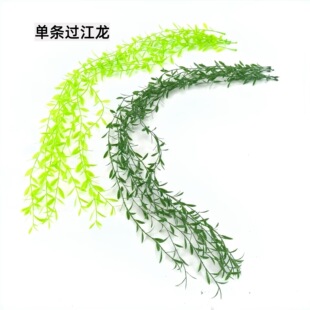 �羳���洹���Ηl���l�bپGֲ�p�@�Gɫֲ���ٗl���~�ڒ��^����