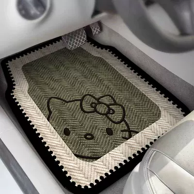 Car Carpet: non-slip, water-absorbent, wear-resistant, universal carpet-style