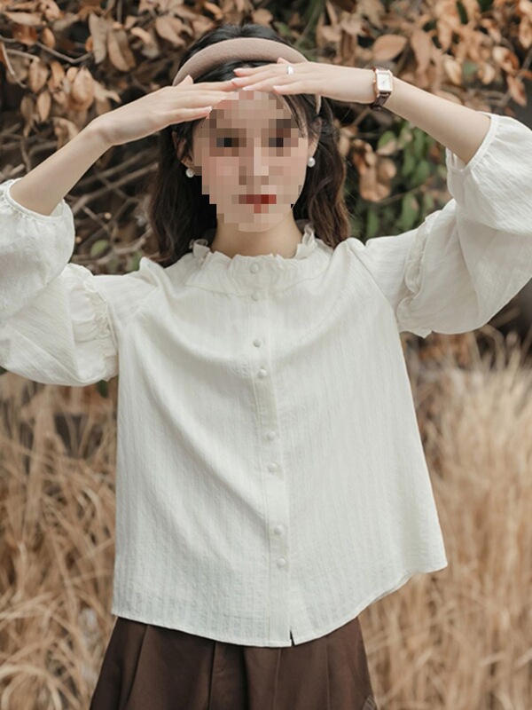 立领衬衫女早秋盐系穿搭2025年新款内搭打底衫法式长袖上衣|undefined