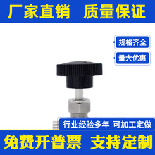 304PֱͨȽzyֹypz{y ݼy24