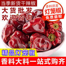 �F�ݟ��\��ɢ�b�t���\������������΢������������偻�偵�������