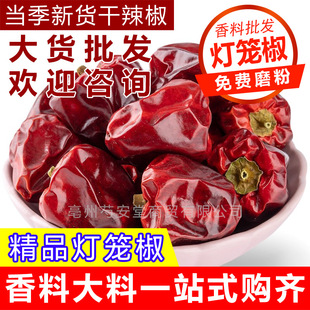 �F�ݟ��\��ɢ�b�t���\������������΢������������偻�偵�������