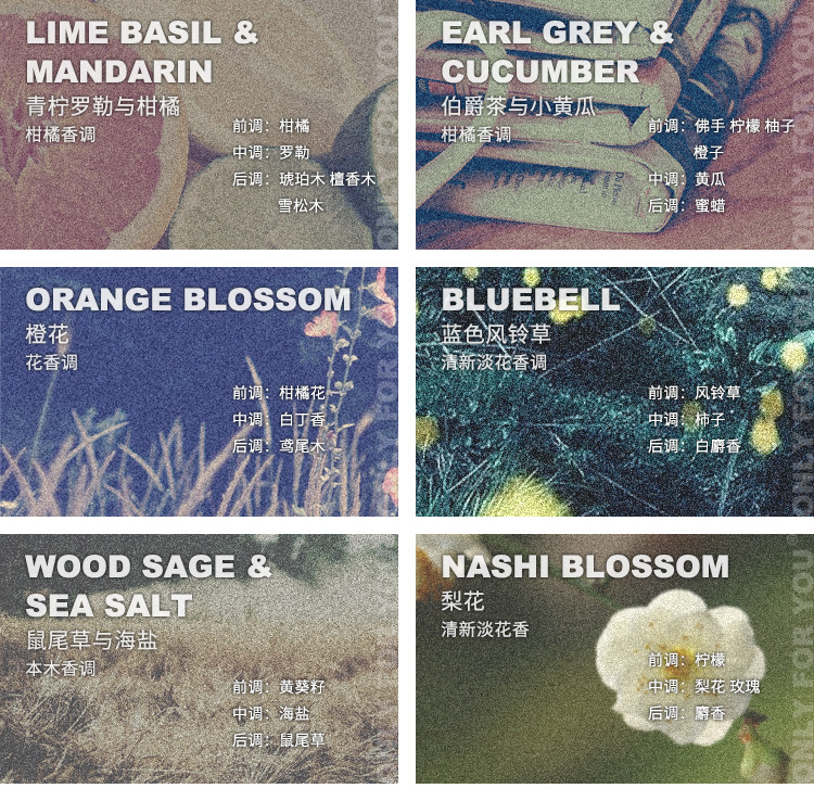 香味描述2-210315.jpg