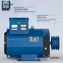 Ƥ���ֲ��ͷ����380����3/5/10/12/15/20KW30ǧ��˫��ѹ����̫��
