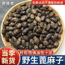 ��ș������ Ұ����؛������500g�� �������� �t�����Ӻڴ�����