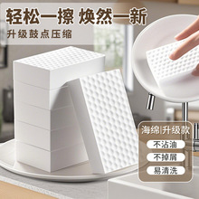 ϴ뺣d{׺dħNٝȥƷ坍ħgȥ