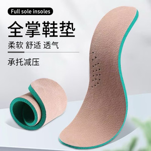 ��Ƥ�ӌ��|�iƤ������������Ь�|�\�����eЬ�ʹ�Ь�|����ЬЬ�|