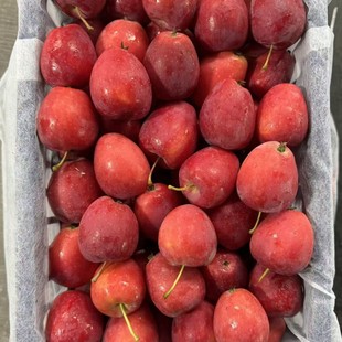 ���Sֱ�NС�O���|���خa���l�u�Ĺ����r����С�O�����Ĺ�