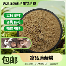 ����Ģ���� �������� ֲ���� �GԴ���x ���󃞻� �F؛���]