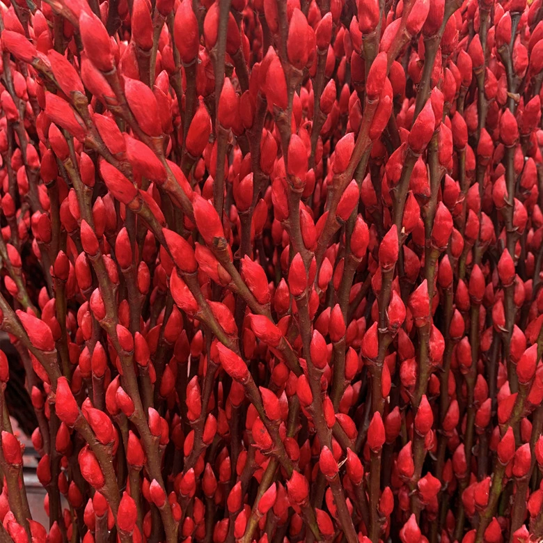 Серебряная ива (60/80/ 100cm цветков на ветке), цветок серебряной ивы, цветок серебряного ивового бутонца