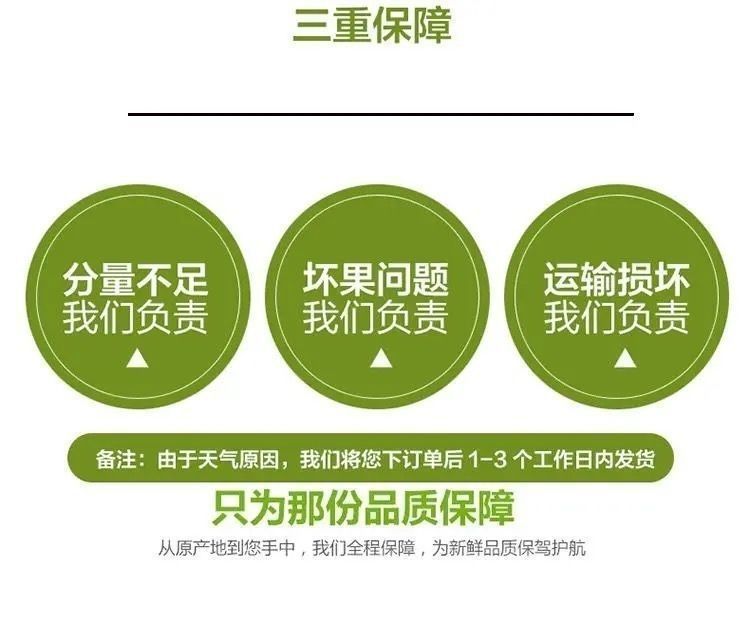 1f08614c-3b69-49cc-872c-a3055a36fd11.jpe