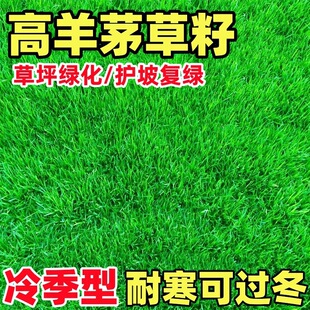 ����é�����ͺ���ƺ�N���ļ����o�¾G����������������`̤ͥԺ