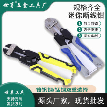 8������ྀ�Q ���I������t�C�����ྀ�Q���ք���|�F�z���i�Q