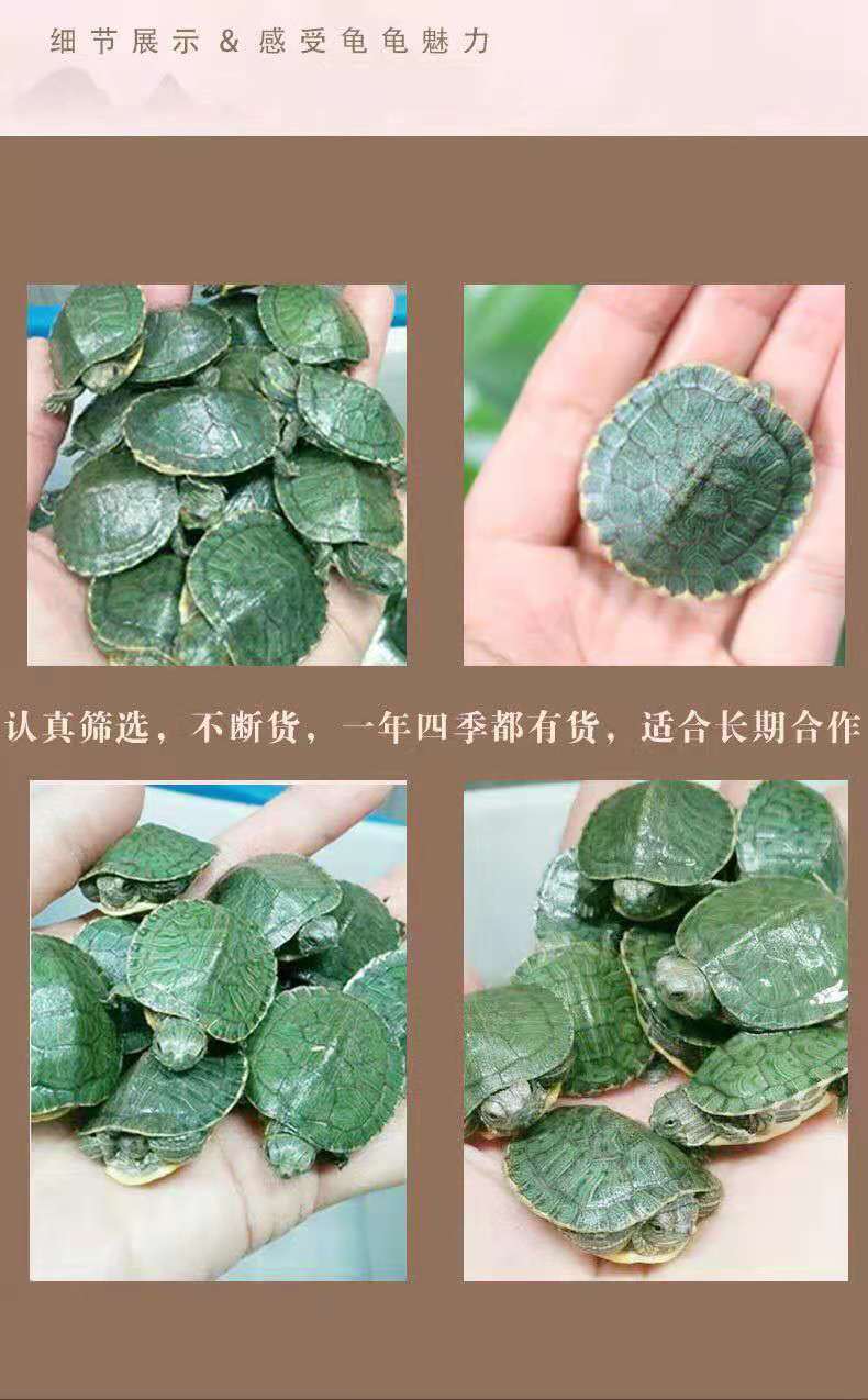 d815fdbe-ddc2-469e-9911-06adf4fa078b.jpe