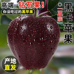 ���C�ڿ��O��������rˮ����������ƽ���t�߷��滨ţ�O������