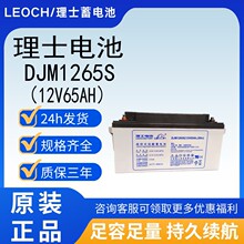 ��ʿ늳�LEOCH��ʿDJM1265S�y��ʽ�U��늳�12V65AH�m���UPS�Դ