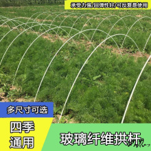 蔬菜小拱棚支架骨架农用棚架养花支撑阳台菜园大棚温室冬天简易