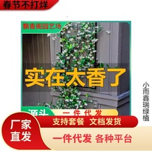 һ�����l�L܇�������ٻ���ֲ��jʯ����ͥԺ�����ļ������y�z����