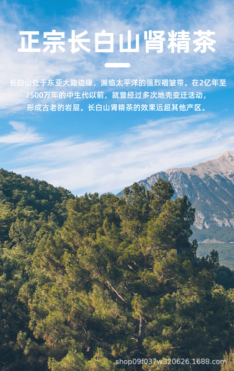 Wild Small Leaf Orthosiphon Kidney Tea Mao Xu Cao Dried Herb for Daily Herbal Infusion 250g overview