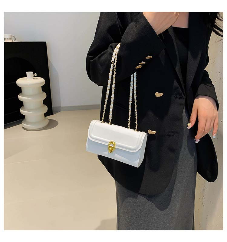 Cataramă cu lanț, ocazional, crossbody cu umăr, personalitate, culoare solidă, simplu 2024, frumos, pătrat mic, pentru femei_voghion.com