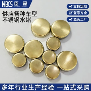 汽车发动机不锈钢水堵 圆形水堵头 源头工厂一站式采购可定 制