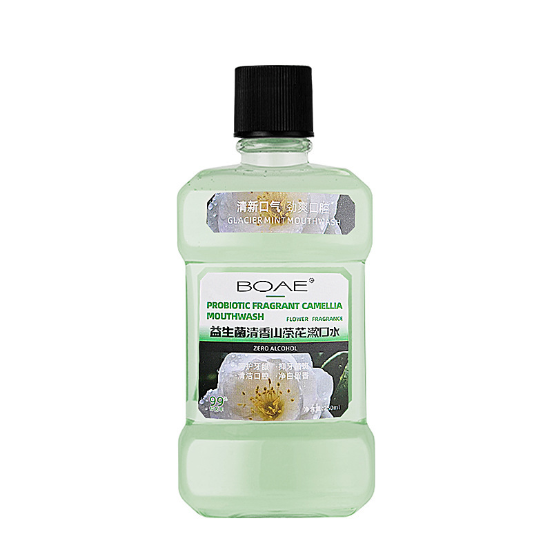구강 세척제 민트 향기 병 250ml 호흡 신선하고 깨끗한 치아와 잇몸 구강 관리 구강 세척제 도매