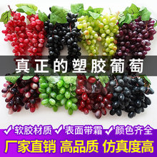 �������� ��˪ˮ�����߼پGֲ�b������Ĕzģ���҃ȵ���ٗl ����