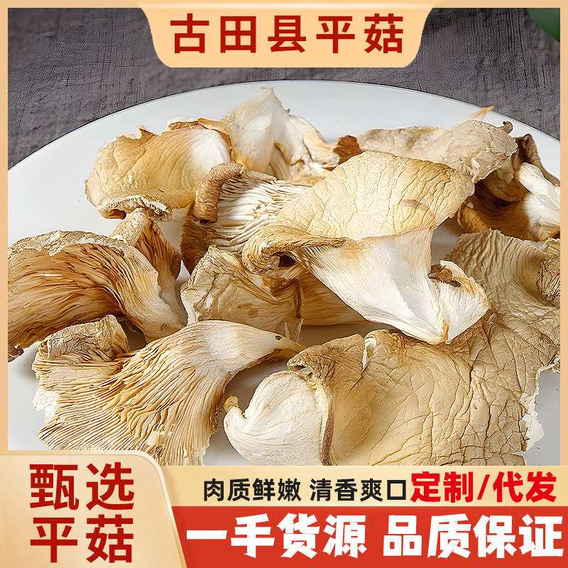 selected Mushroom Meat Fresh Refreshing fragrance Tasty dried food Mushroom wholesale Retail 250 gram