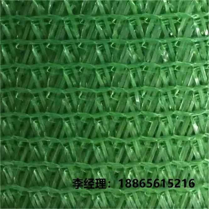 扁丝拉丝机80机塑料捆扎绳打草线撕裂带草绳扁丝水冷拉丝机