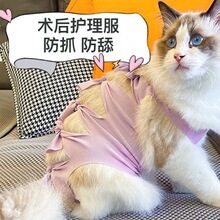 母猫猫咪绝育服防舔薄款手术衣服宠物母狗狗断奶防毛透气术