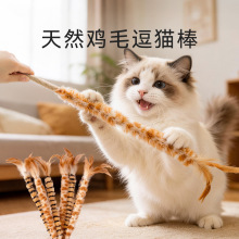 �uë���ӄ����K��؈����K�l؈������ˌ��������ľ���������Ʒ