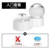 Entry version [No plug]