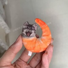 �����r�������؈���r��ë�q耳�朳��Ȅ��������������