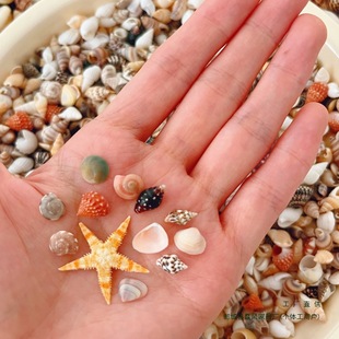 ΢�sؐ���b�diyؐ�������ϰ�����С���ݘ˱�Сؐ��΢ؐ����