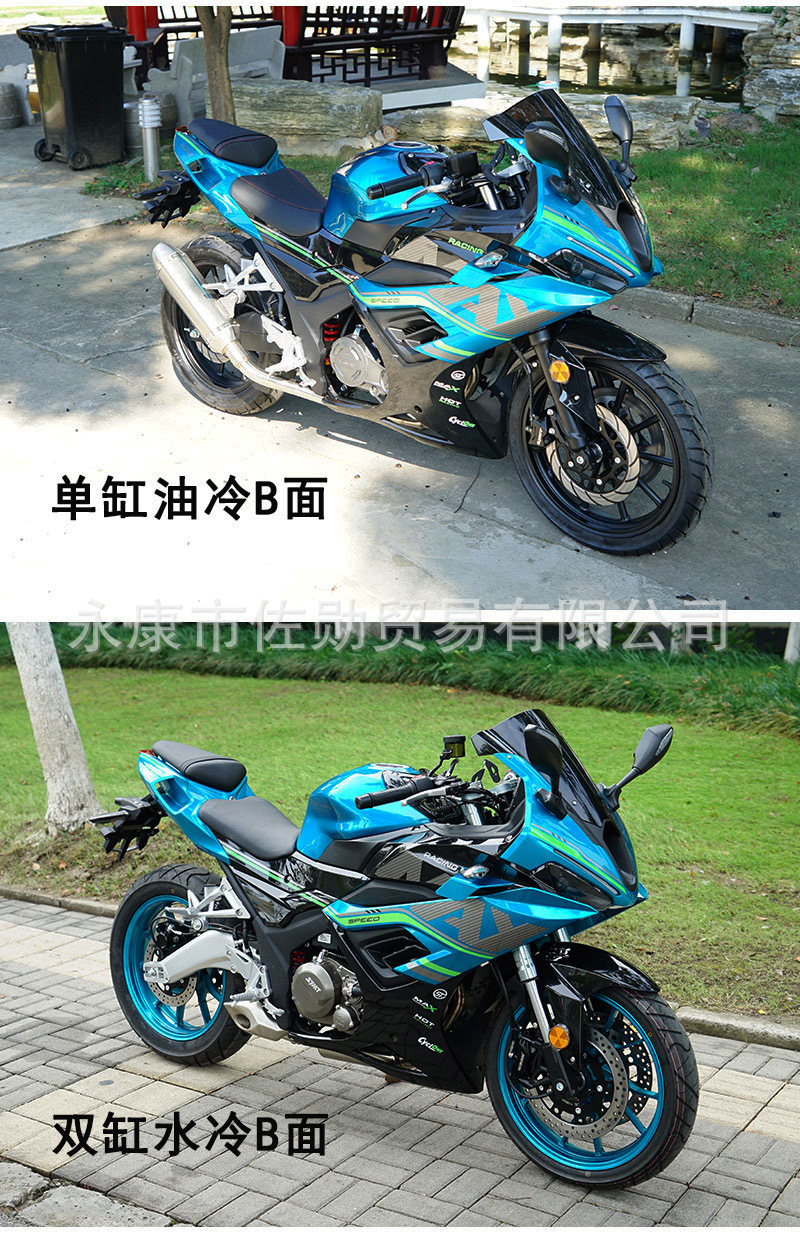 DaoLang dual-cylinder water-cooled heavy-duty street bike, high-displacement road racing motorcycle, can be registered, with Euro 4 standard and electronic fuel injection
