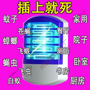 �������ß�2025�M���¿������������ȫ�ԄӲ��ʽ�{������ß�