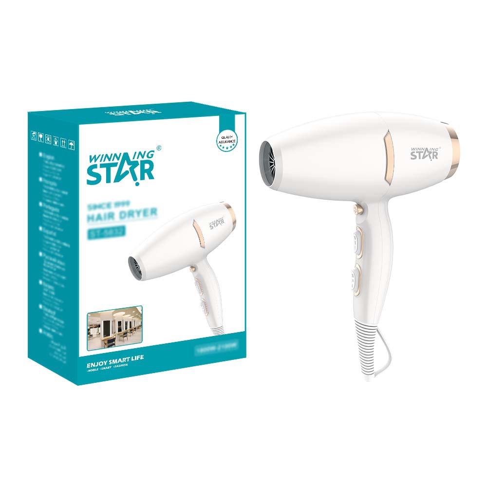 Winning Star comercio exterior hogar frío y caliente velocidad del viento seco de alta potencia anti-secado secador de pelo Hair Dryer