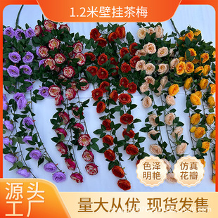 ���滨�ٗl朗l1.2�ױڒ�W˹���_��õ���÷�Ҿ�ܛ�b�Ƶ�͏d