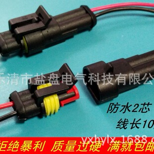 2P1.5 Series Plug Automotive Waterproof Connector Automotive Connector Plug with Wire