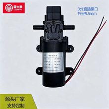 厂家供应12V直流微型隔膜泵 家用净水器泵水桶抽水三分直插24V36V